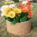 Цветник КАНЬОН купить в Орле
