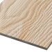 Фиброцементные панели FCSPRO Decor Wood Лиственница купить в Орле